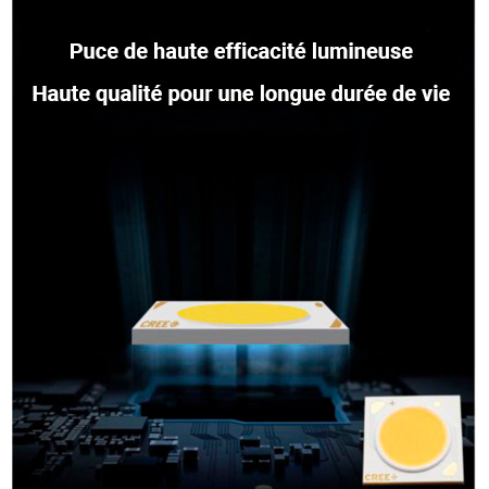 Chip linéaire LED